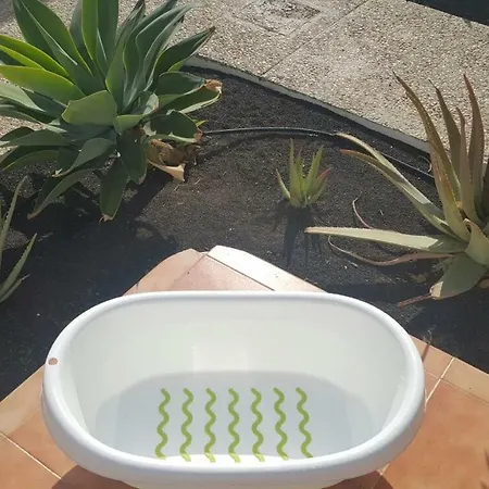 Apartment Bungalow King Puerto del Carmen (Lanzarote)